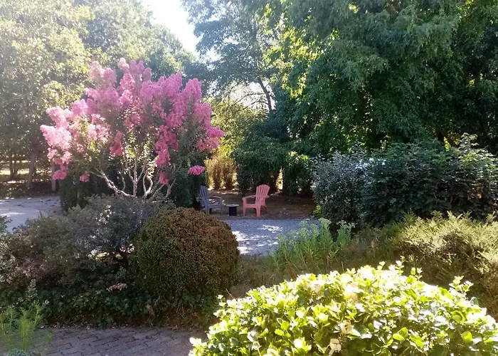 L\'Eden Naturiste Ecureuil