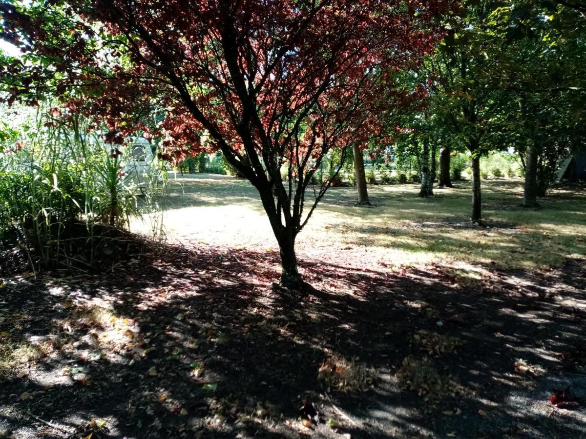 Homestay L'eden Naturiste Ecureuil *